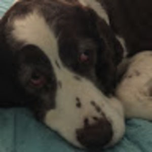 Meet your Posher, Maggie